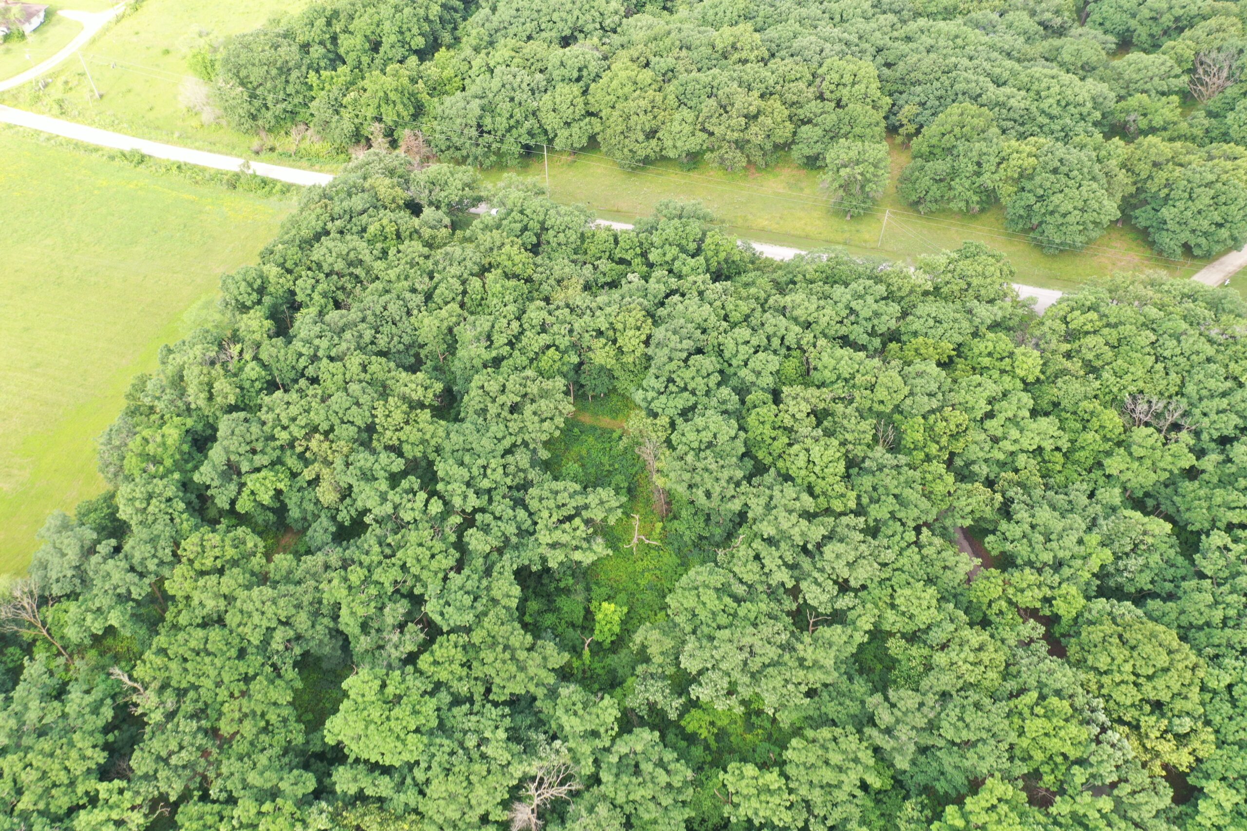 60 Acres m/l | Prime Hunting Farm with Income & Build Site