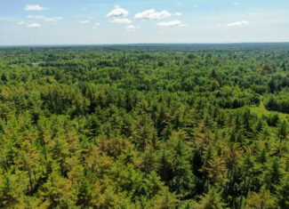 16.5 Acre Parcel with Stream Frontage
