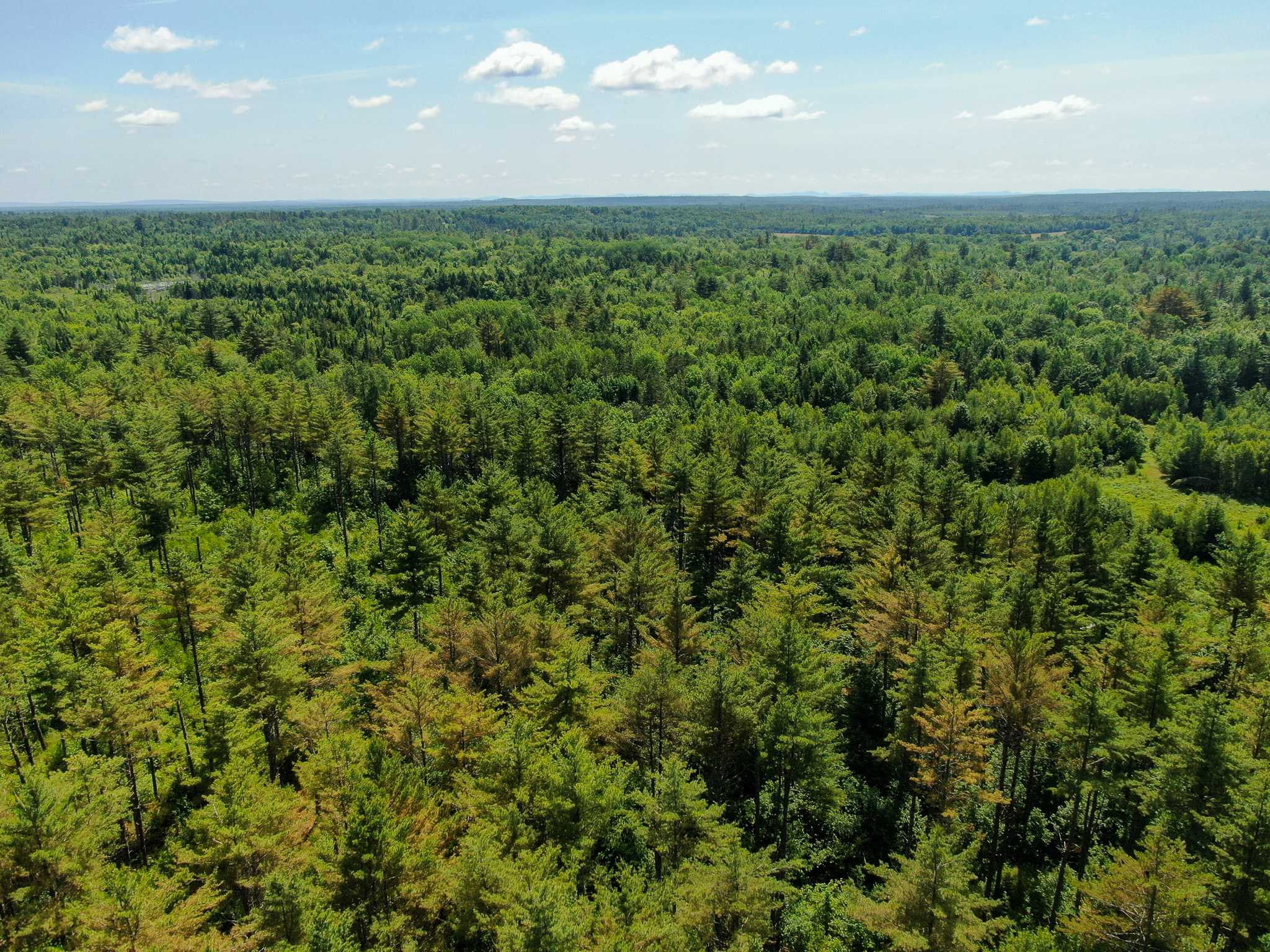 16.5 Acre Parcel with Stream Frontage