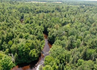 16.5 Acre Parcel with Stream Frontage