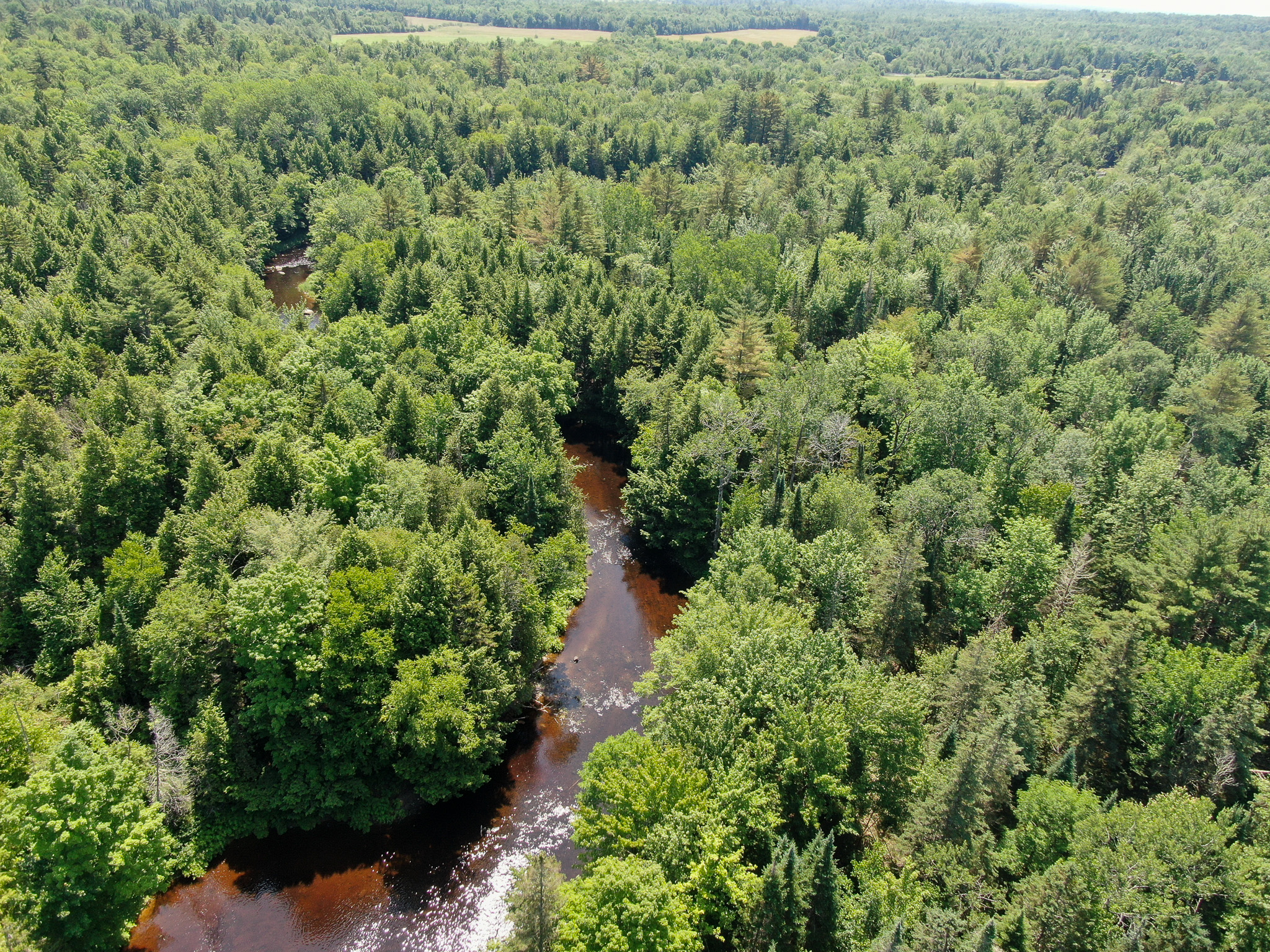 16.5 Acre Parcel with Stream Frontage