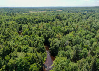 16.5 Acre Parcel with Stream Frontage