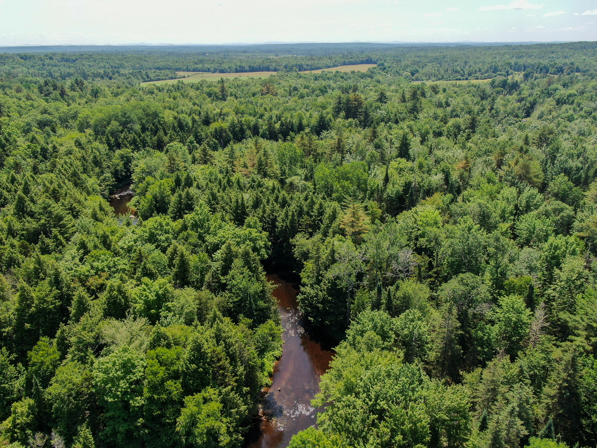 16.5 Acre Parcel with Stream Frontage