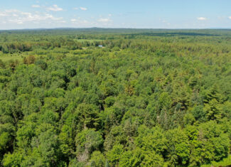 16.5 Acre Parcel with Stream Frontage