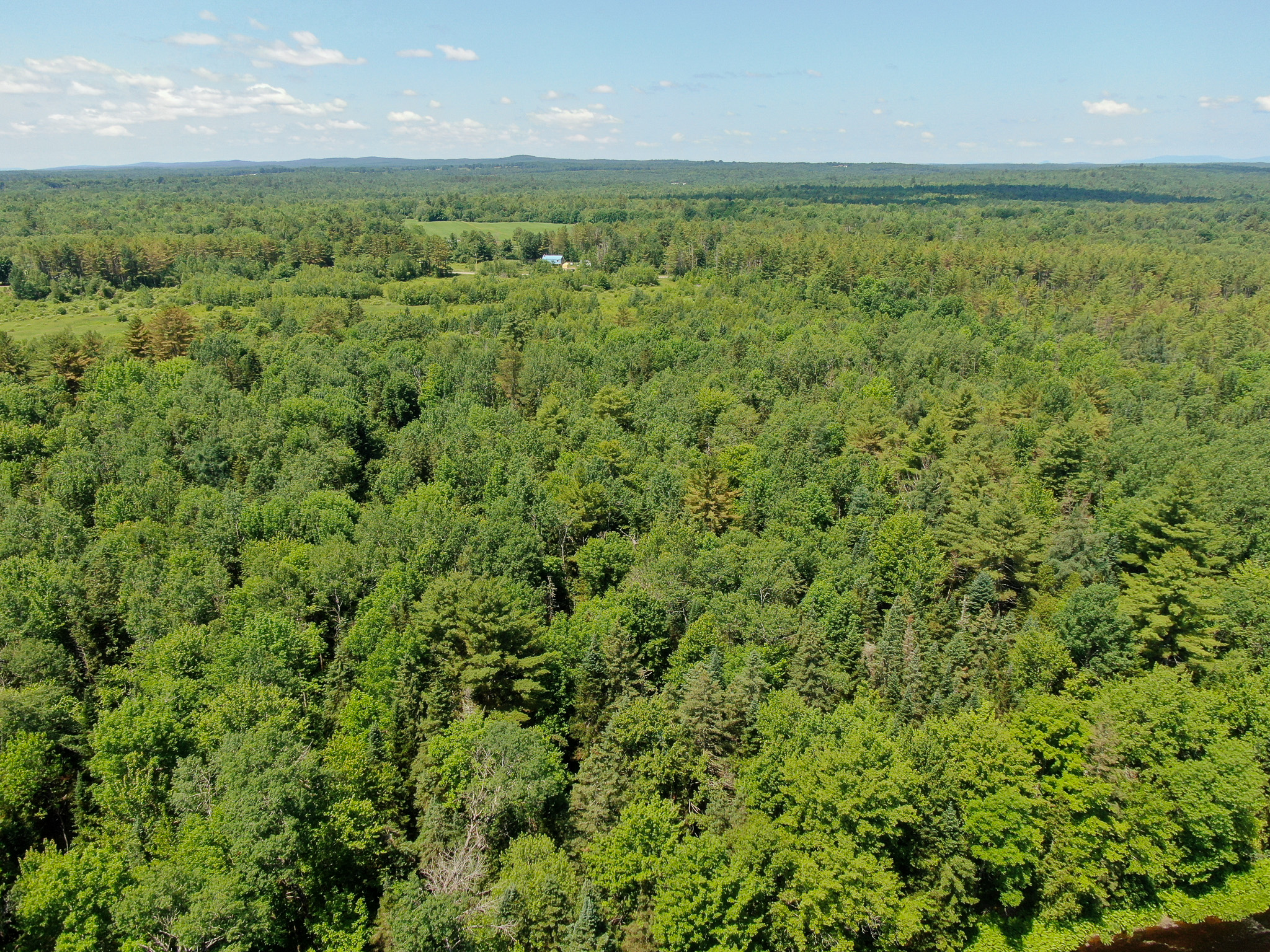16.5 Acre Parcel with Stream Frontage