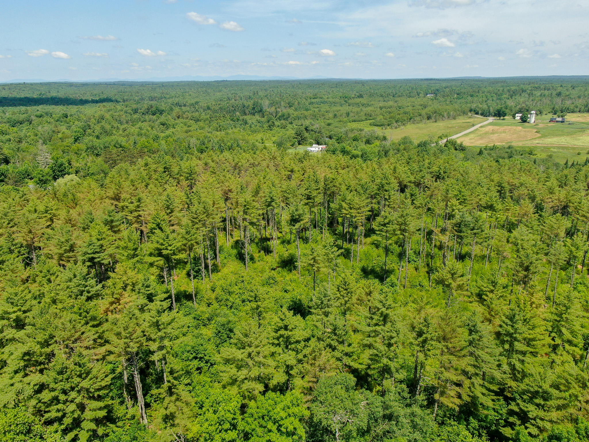16.5 Acre Parcel with Stream Frontage