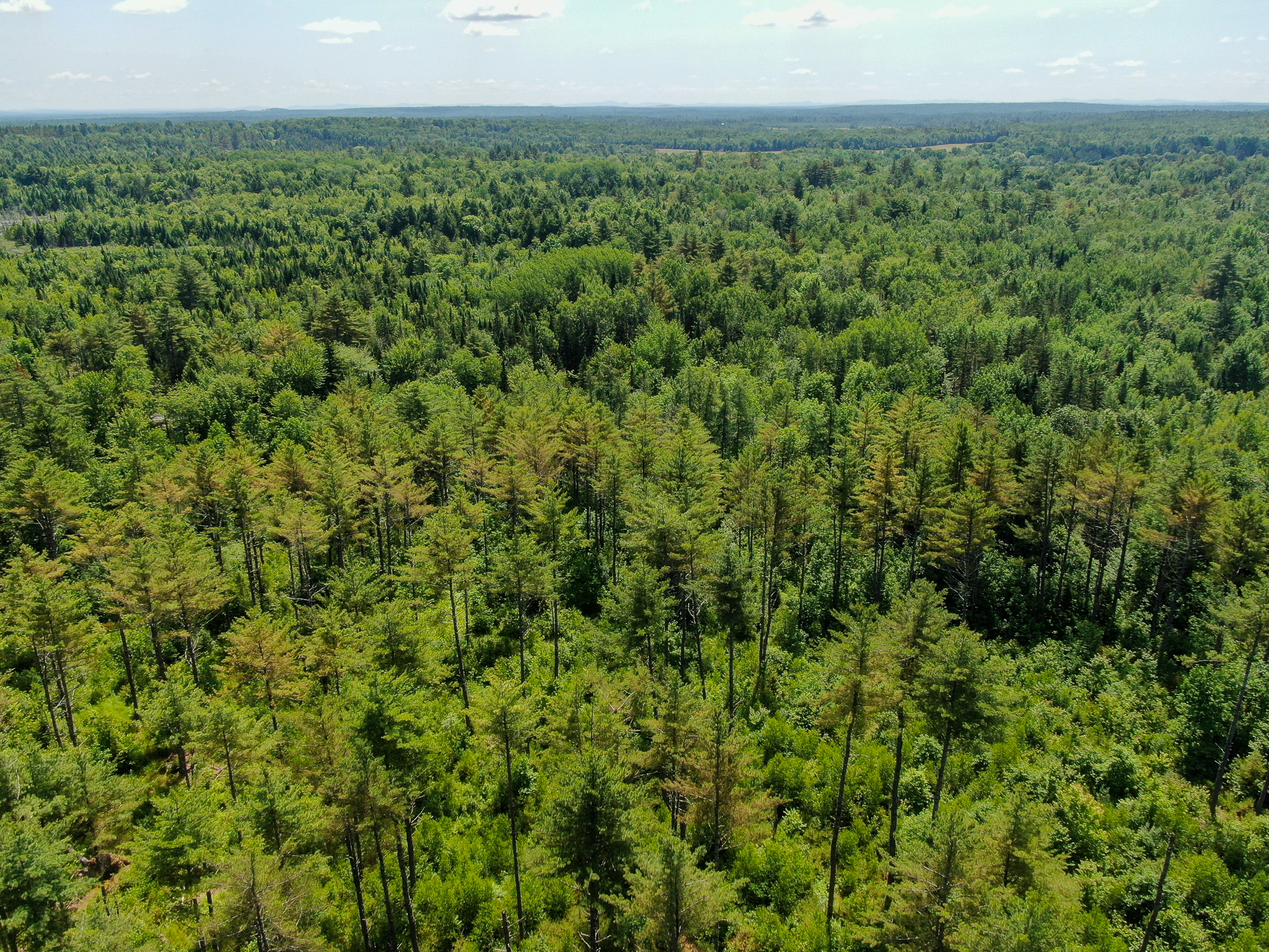 16.5 Acre Parcel with Stream Frontage