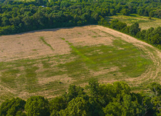 Creekfront Row Crop Land in East Tennessee Land Greene County