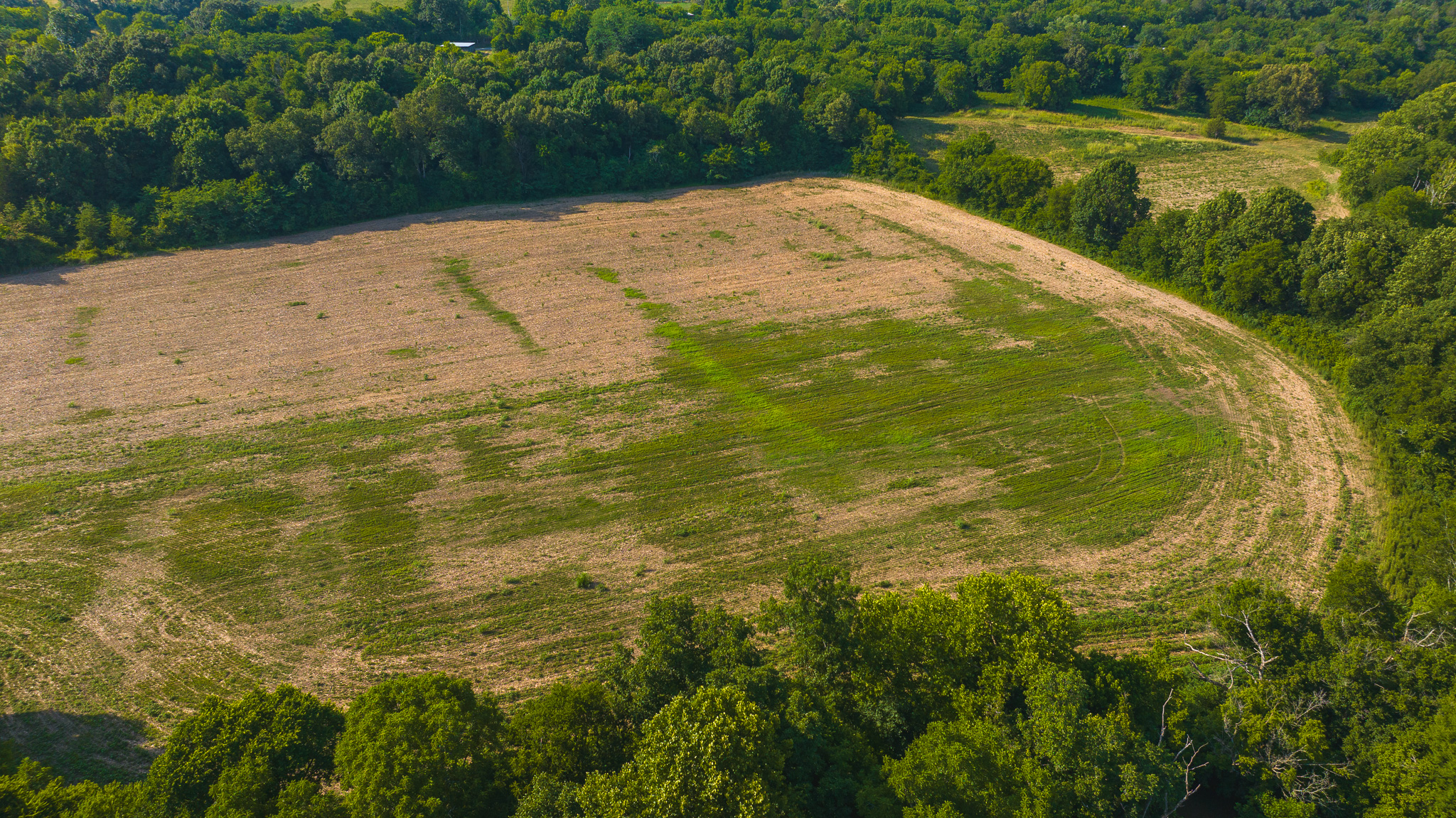 Creekfront Row Crop Land in East Tennessee Land Greene County