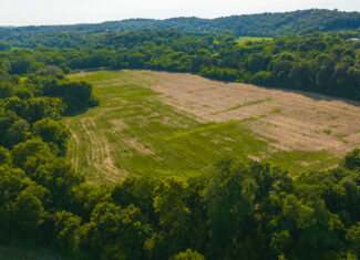 Creekfront Row Crop Land in East Tennessee Land Greene County