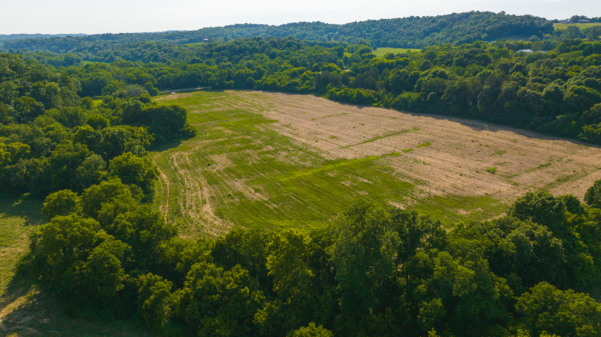 Creekfront Row Crop Land in East Tennessee Land Greene County