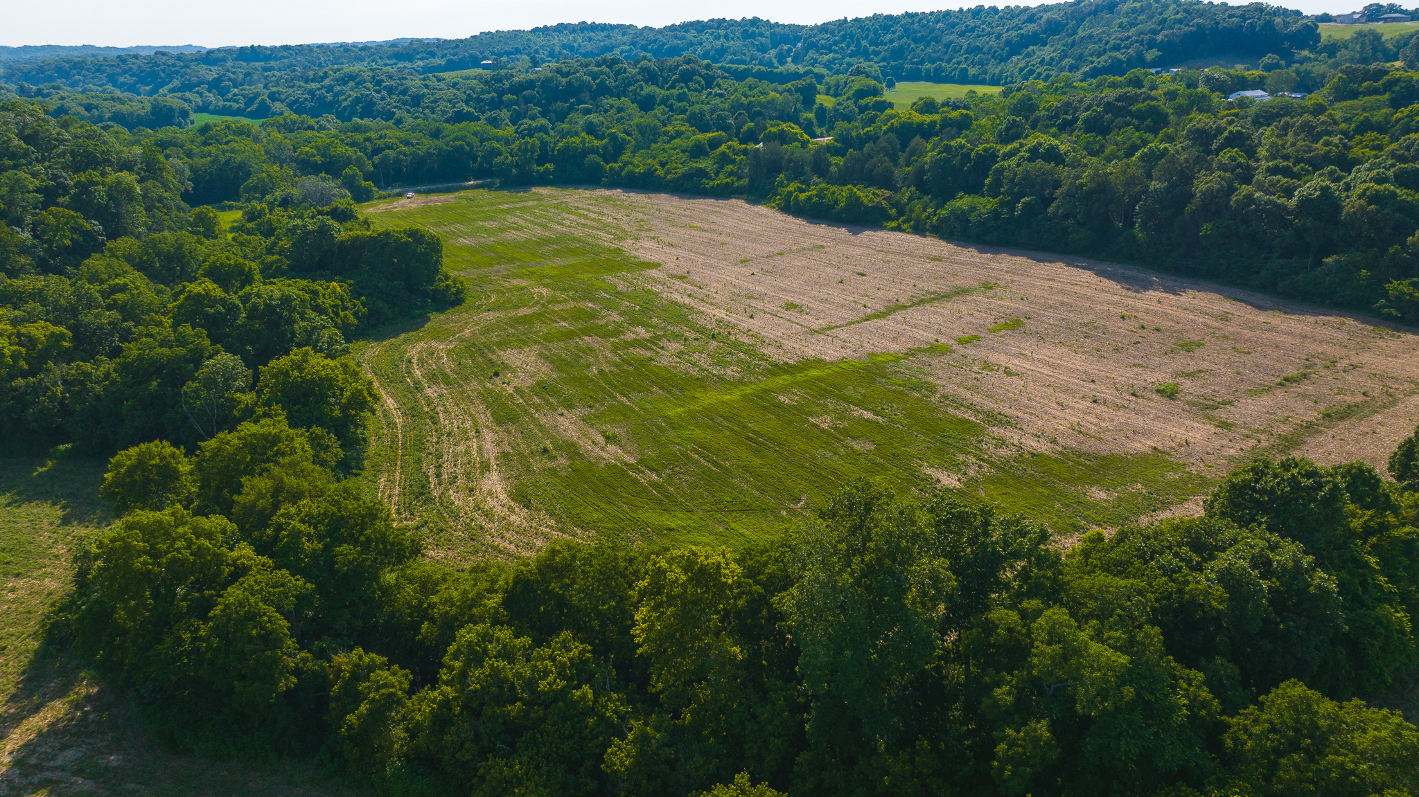 Creekfront Row Crop Land in East Tennessee Land Greene County