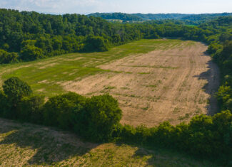 Creekfront Row Crop Land in East Tennessee Land Greene County