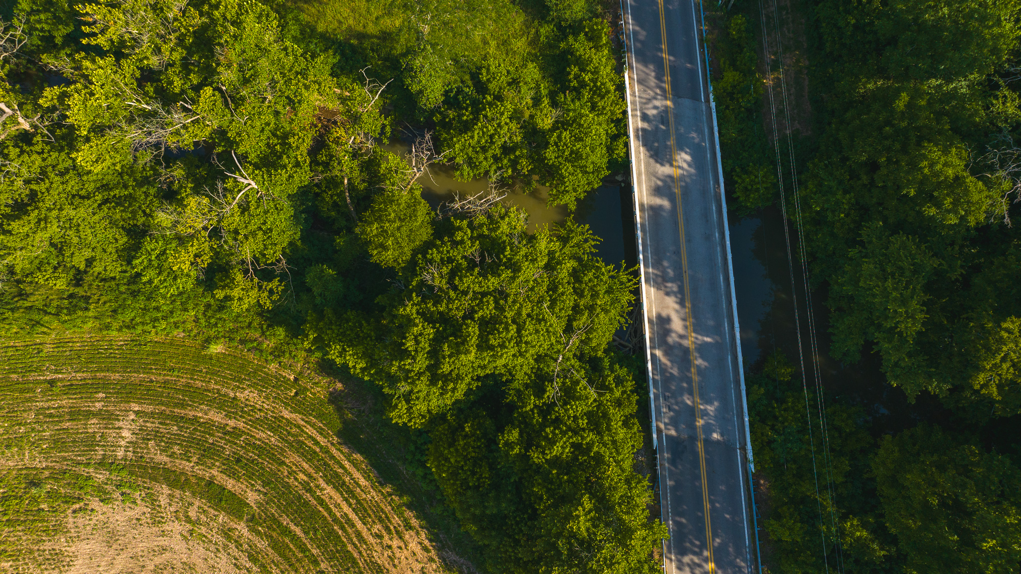Creekfront Row Crop Land in East Tennessee Land Greene County