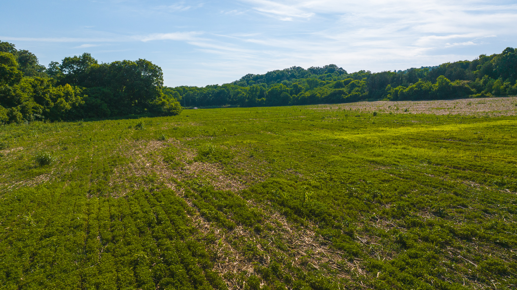 Creekfront Row Crop Land in East Tennessee Land Greene County