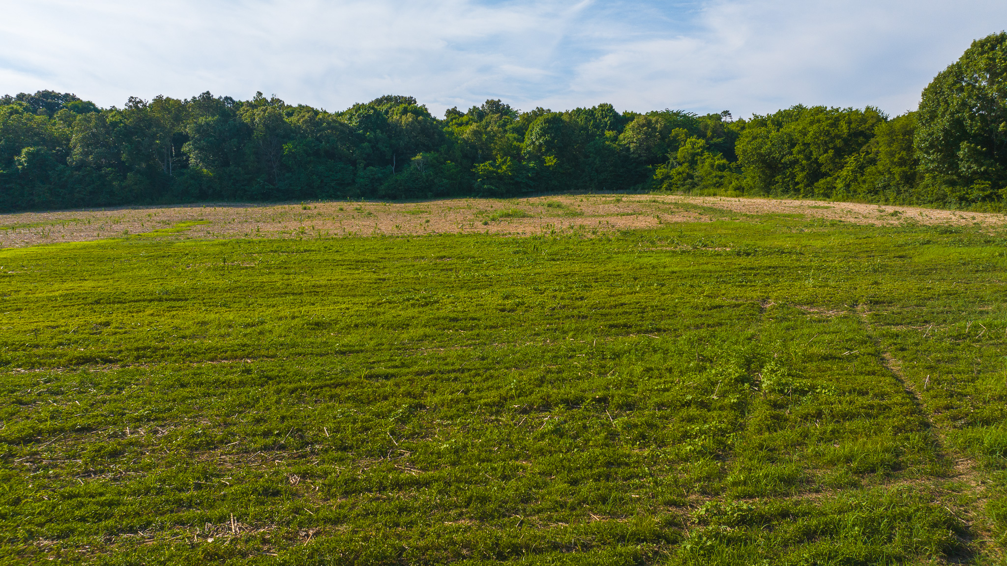 Creekfront Row Crop Land in East Tennessee Land Greene County
