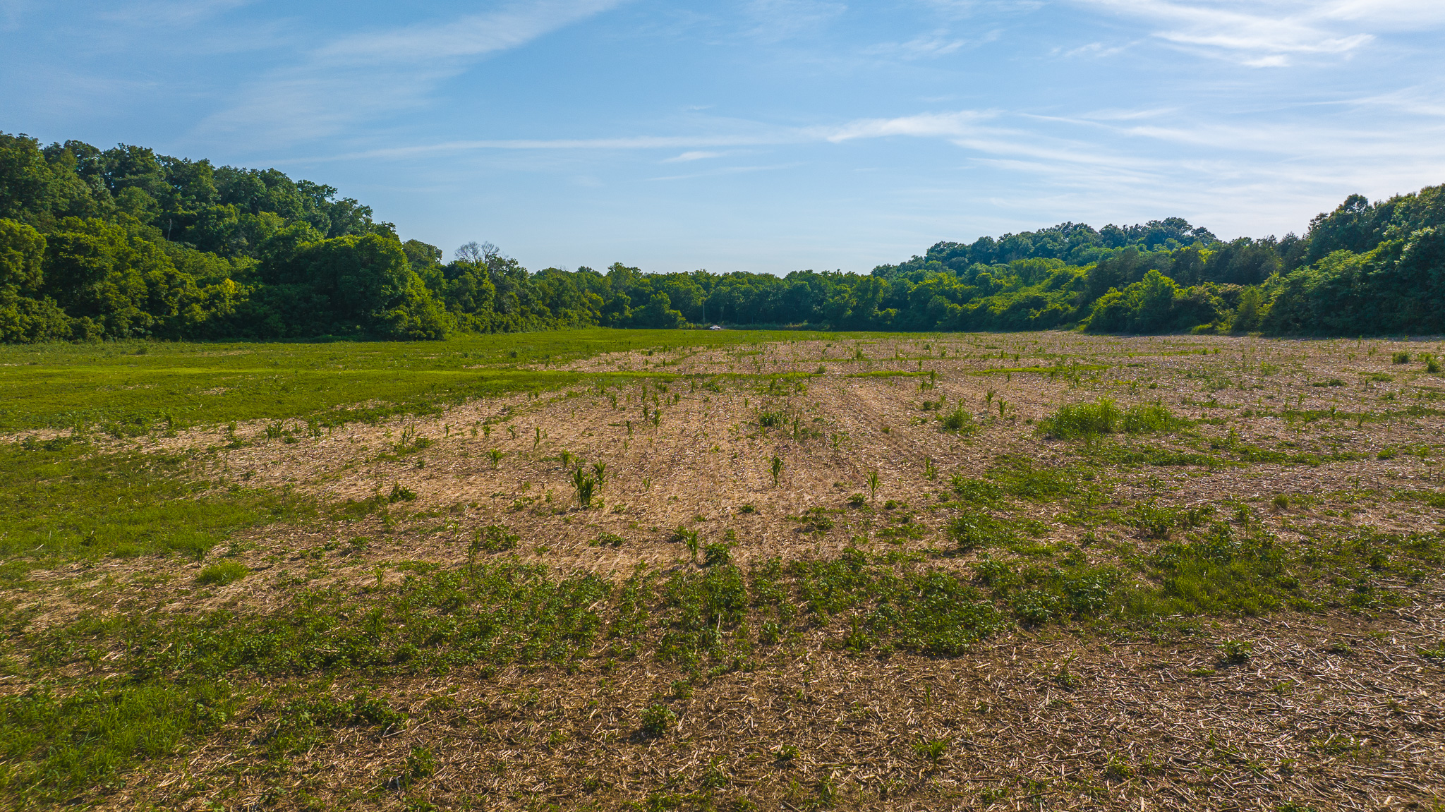 Creekfront Row Crop Land in East Tennessee Land Greene County