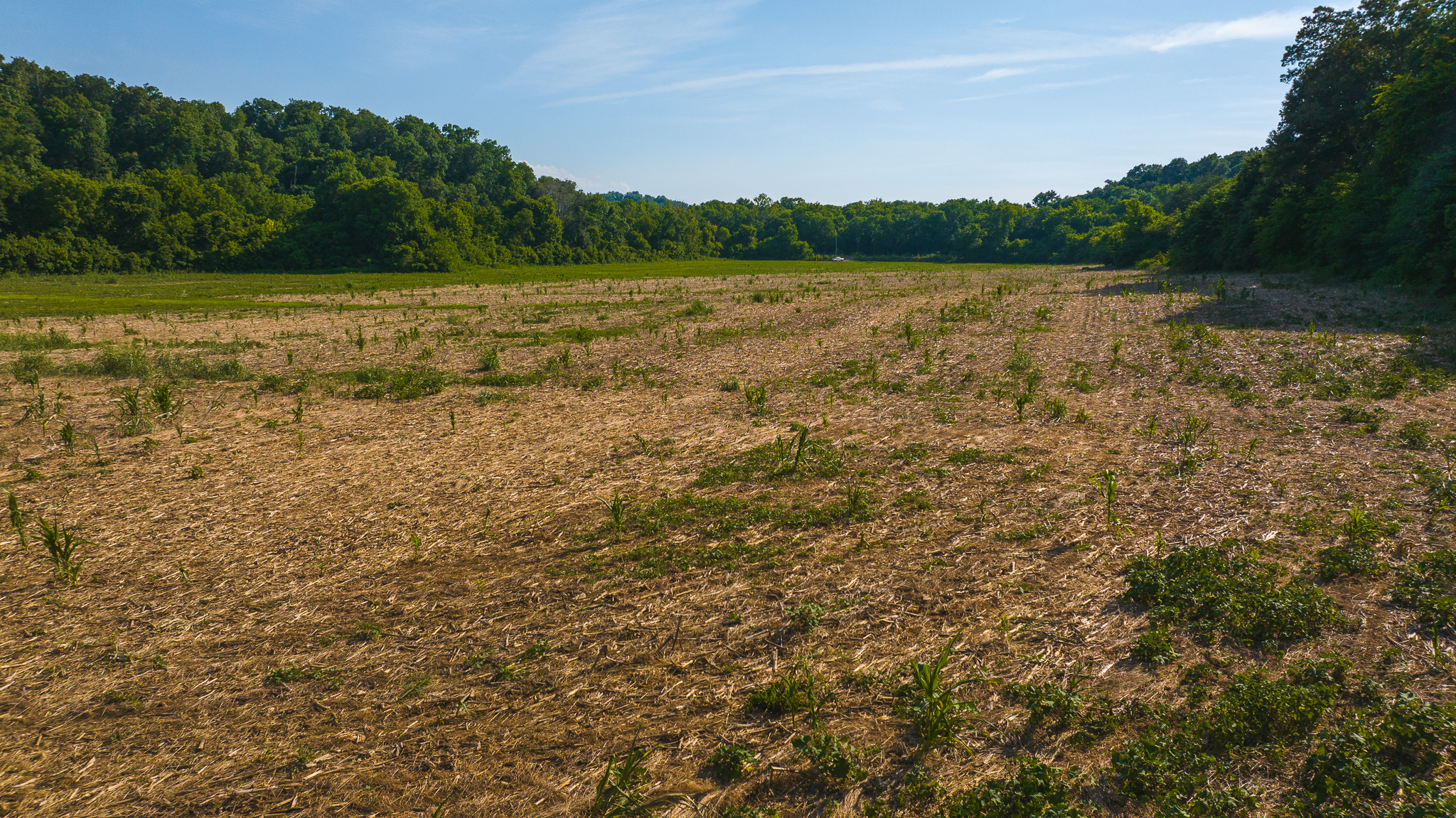 Creekfront Row Crop Land in East Tennessee Land Greene County