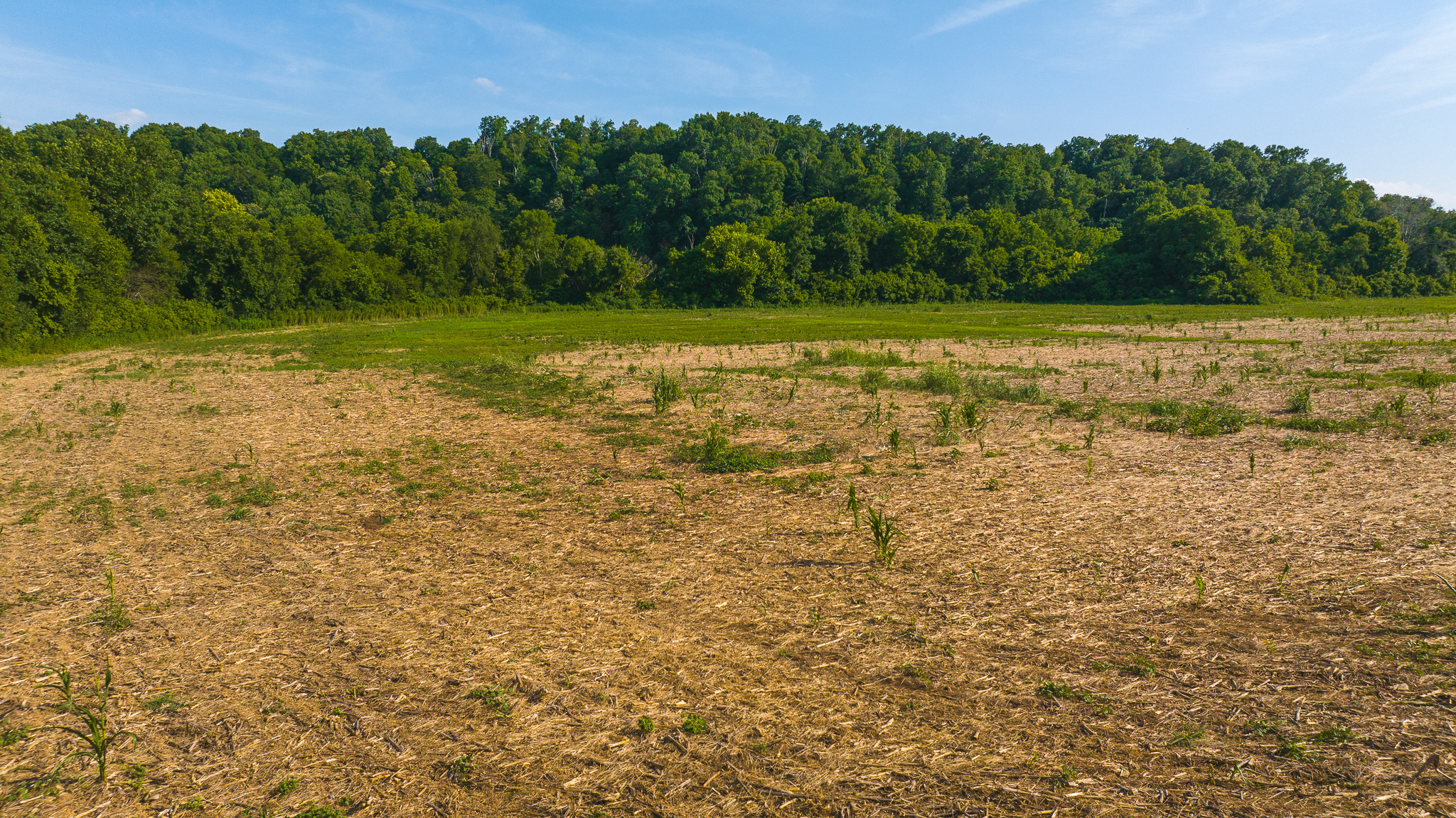 Creekfront Row Crop Land in East Tennessee Land Greene County