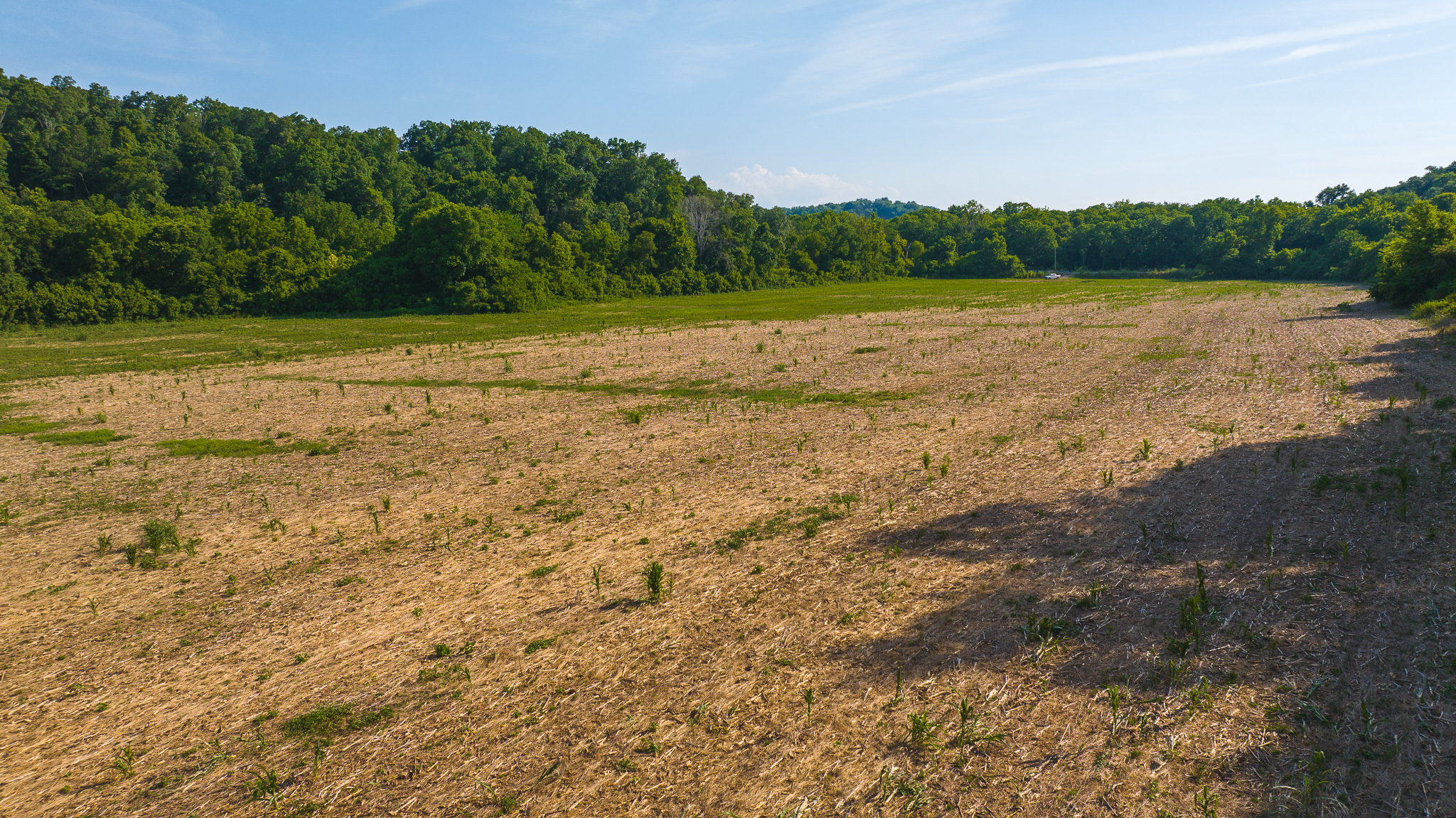 Creekfront Row Crop Land in East Tennessee Land Greene County