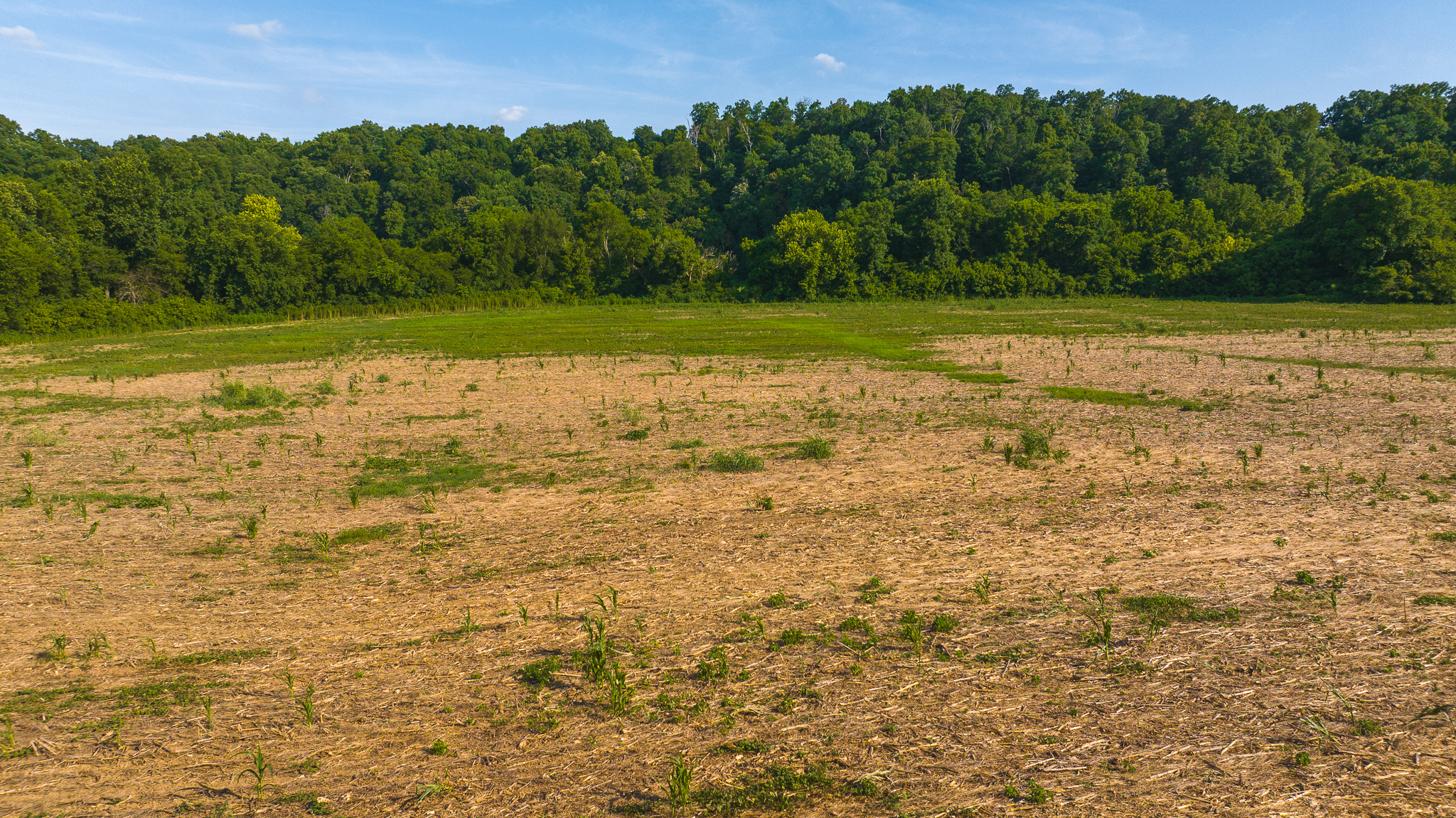 Creekfront Row Crop Land in East Tennessee Land Greene County