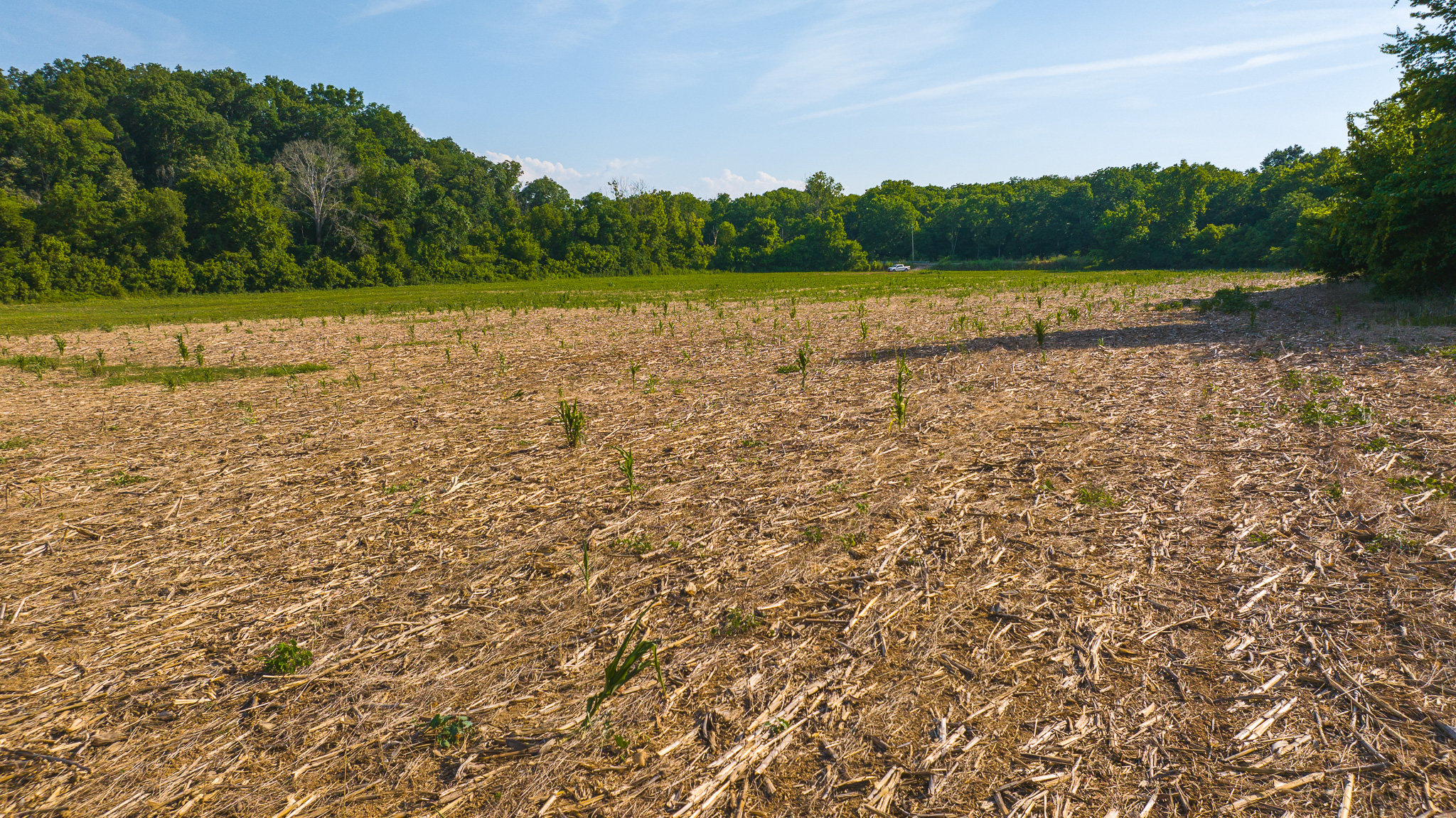 Creekfront Row Crop Land in East Tennessee Land Greene County