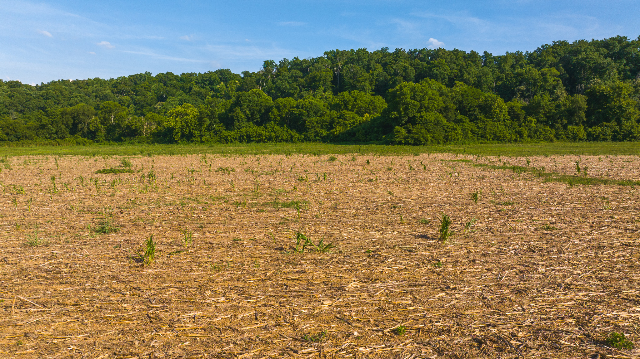 Creekfront Row Crop Land in East Tennessee Land Greene County