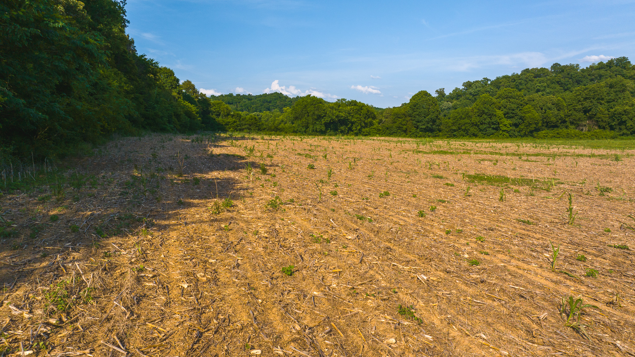 Creekfront Row Crop Land in East Tennessee Land Greene County