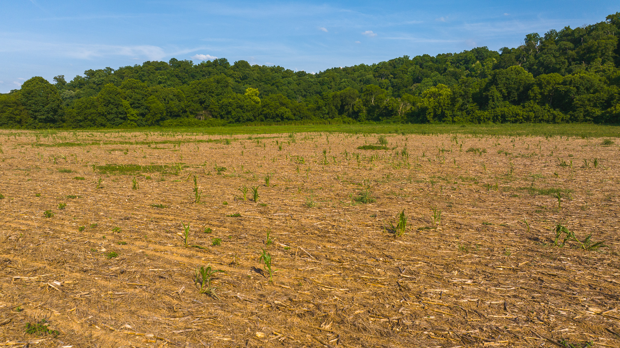 Creekfront Row Crop Land in East Tennessee Land Greene County