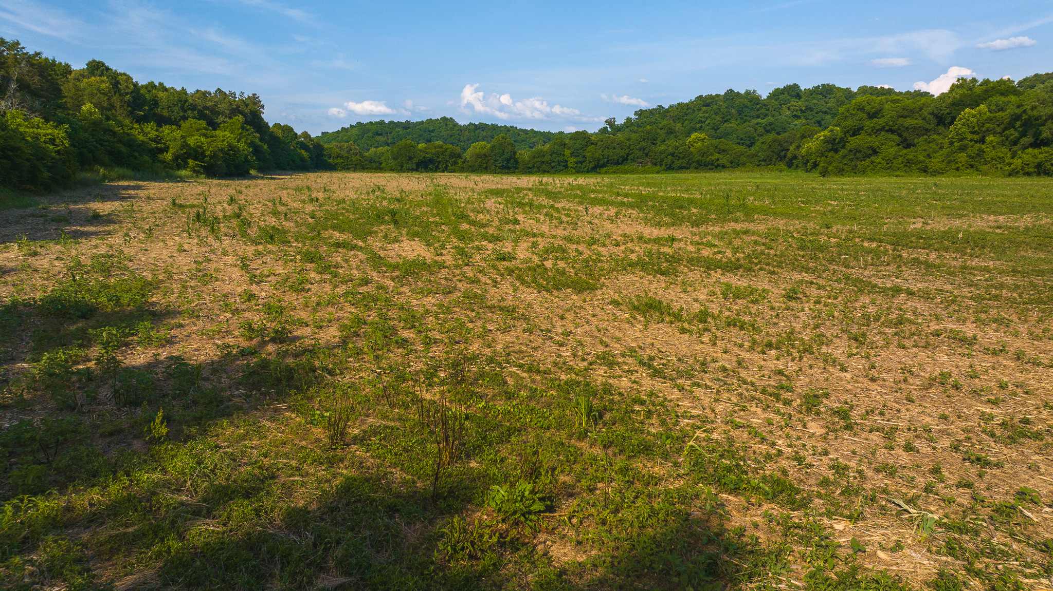 Creekfront Row Crop Land in East Tennessee Land Greene County