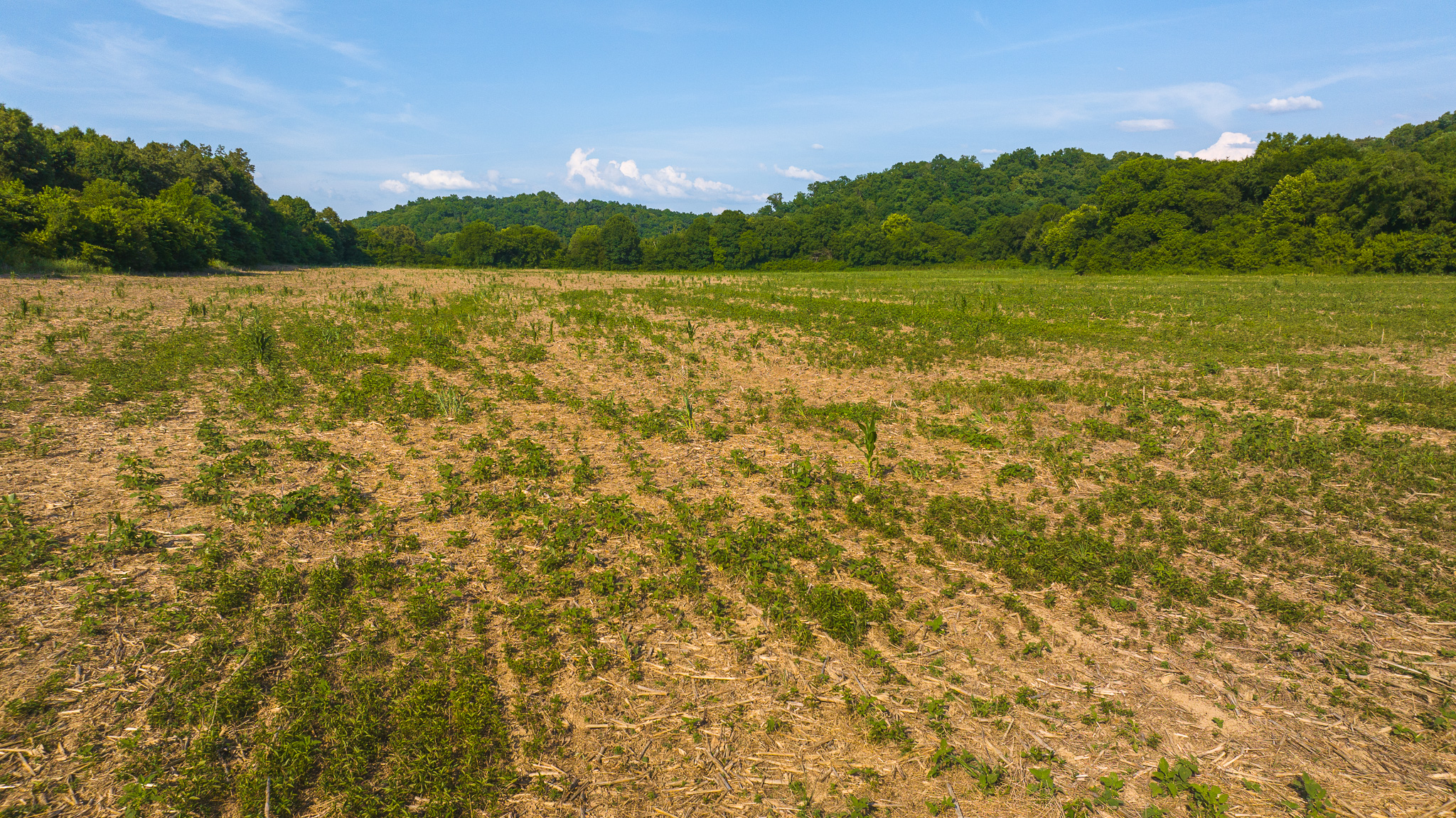 Creekfront Row Crop Land in East Tennessee Land Greene County