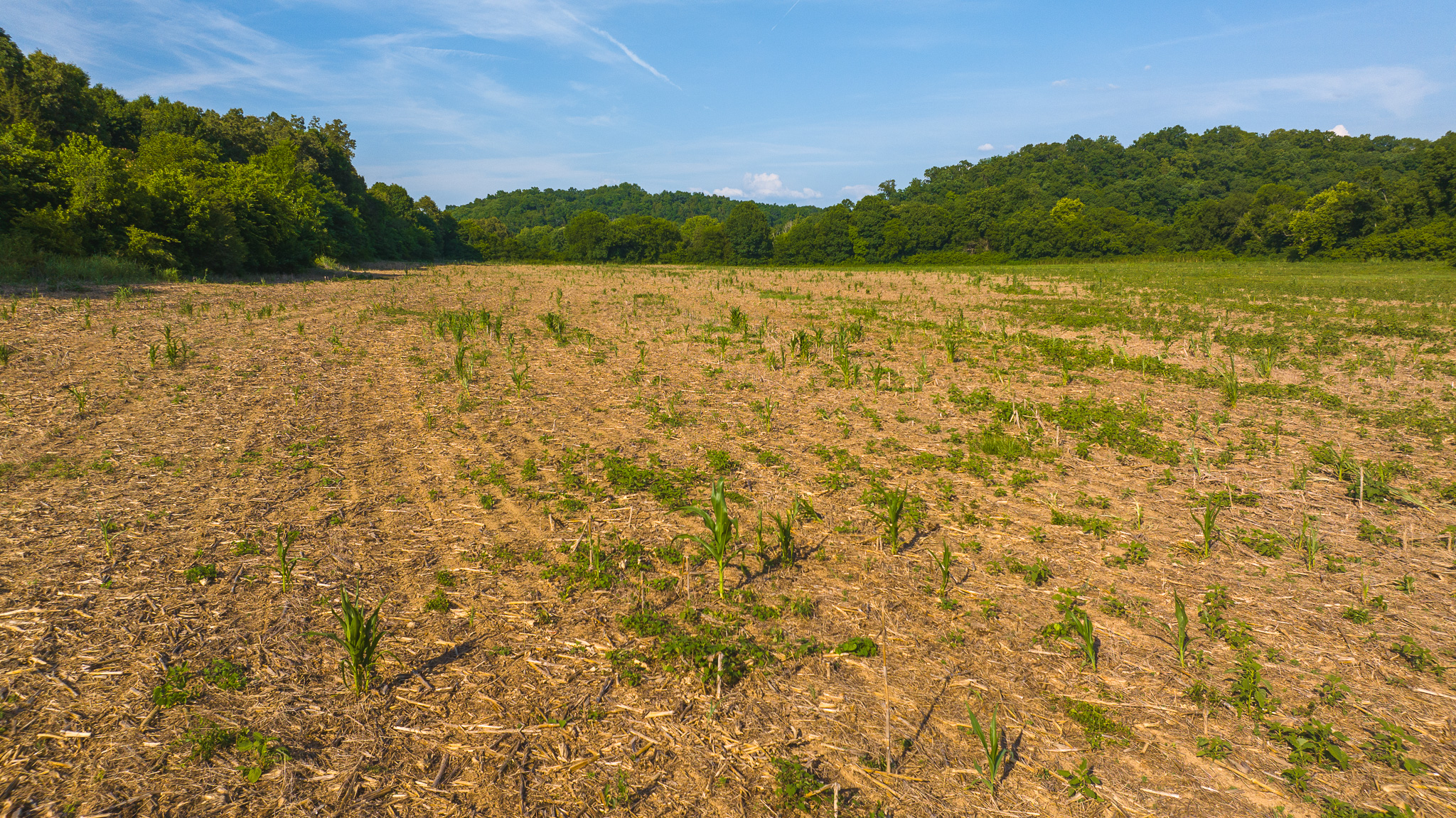Creekfront Row Crop Land in East Tennessee Land Greene County