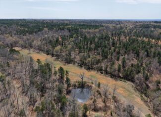 CABIN WITH LAND FOR SALE IN NORTH CENTRAL ARKANSAS