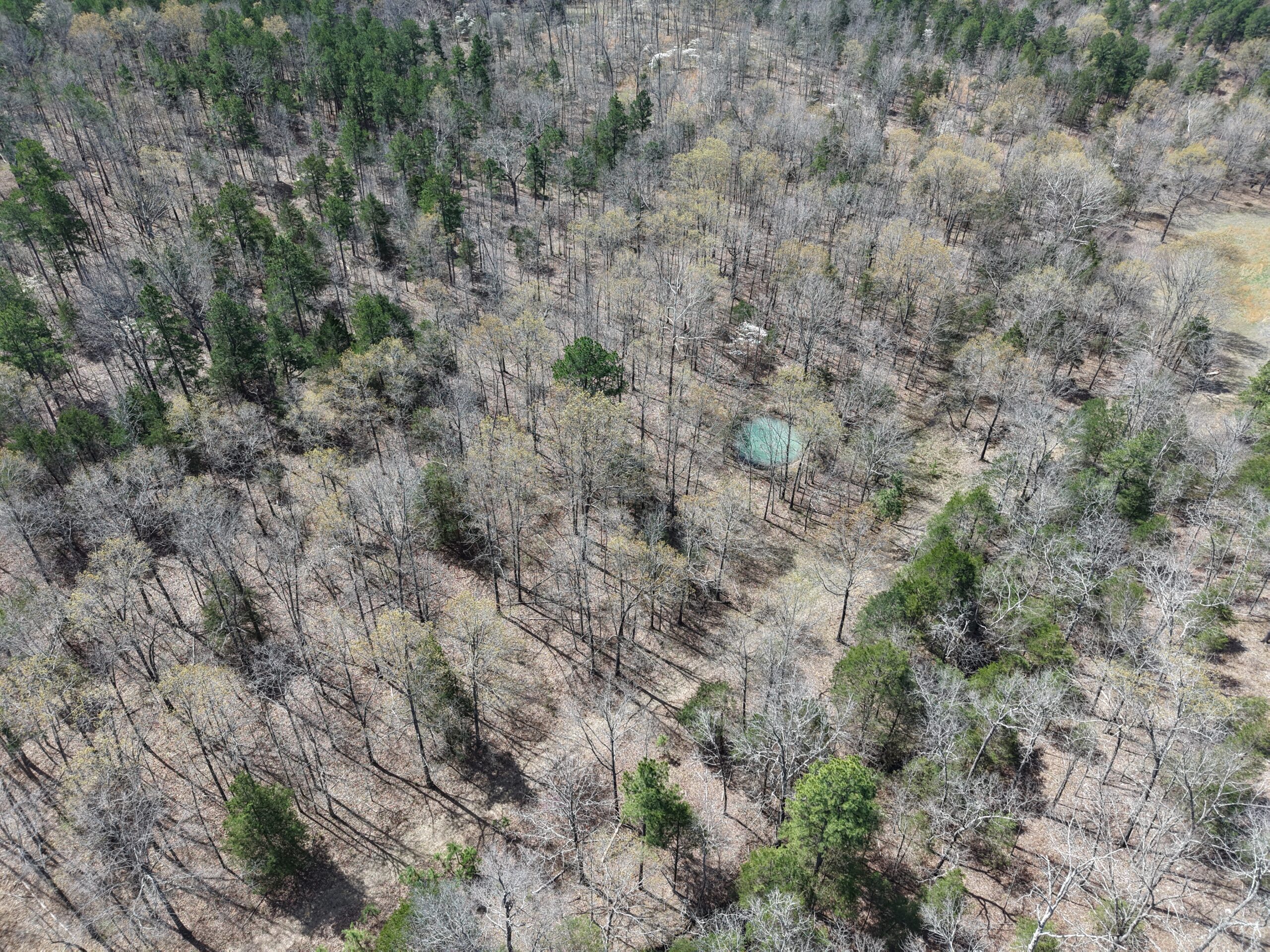 CABIN WITH LAND FOR SALE IN NORTH CENTRAL ARKANSAS
