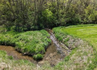 Country Home 100 Acres 1/4 Mile of Trout Stream In the Driftless Region