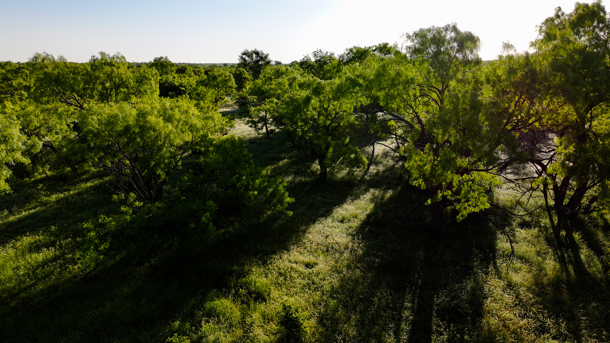 Gorgeous 355 acres of Hunting and Ranch Land in Archer County TX