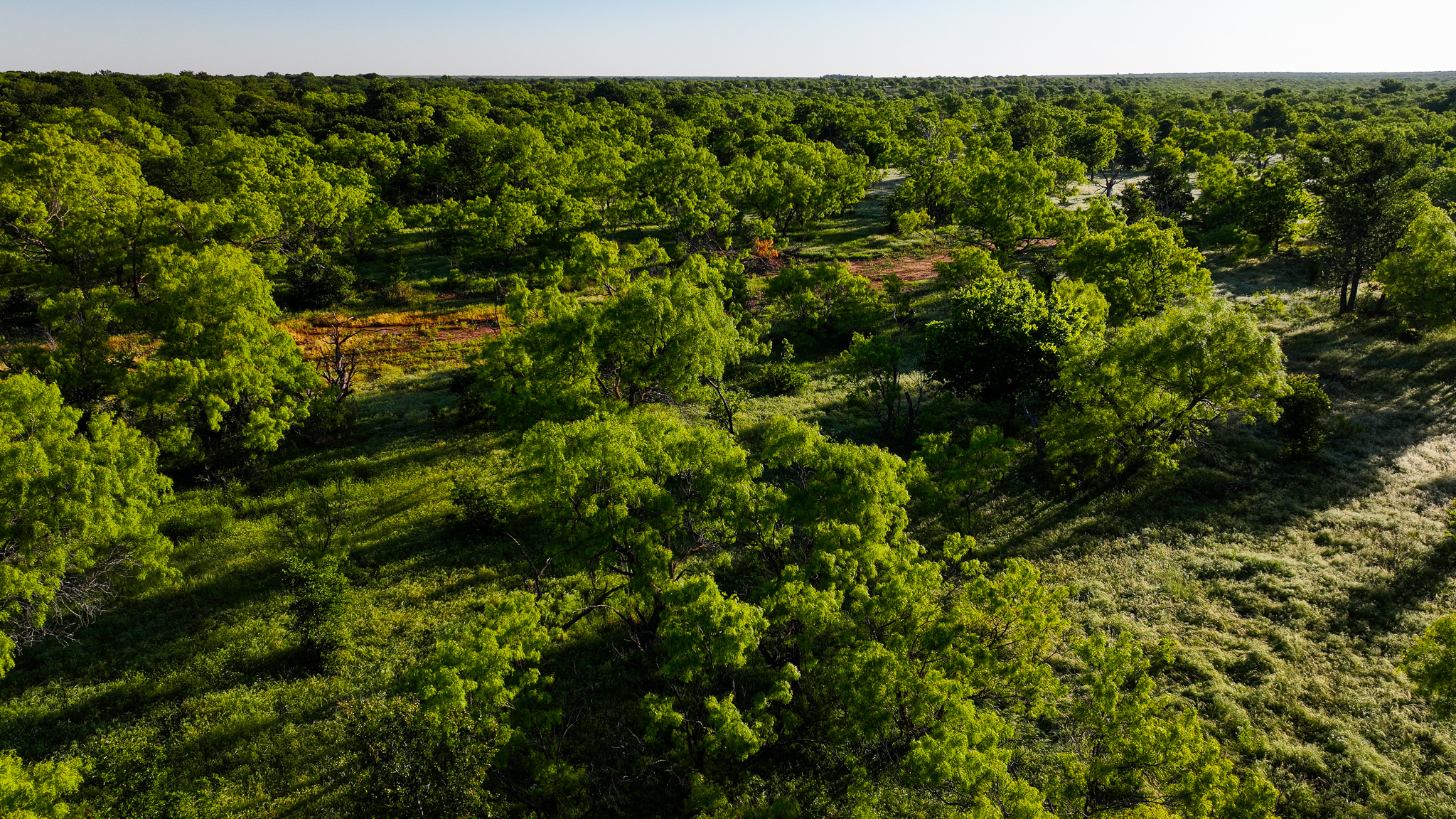 Gorgeous 355 acres of Hunting and Ranch Land in Archer County TX