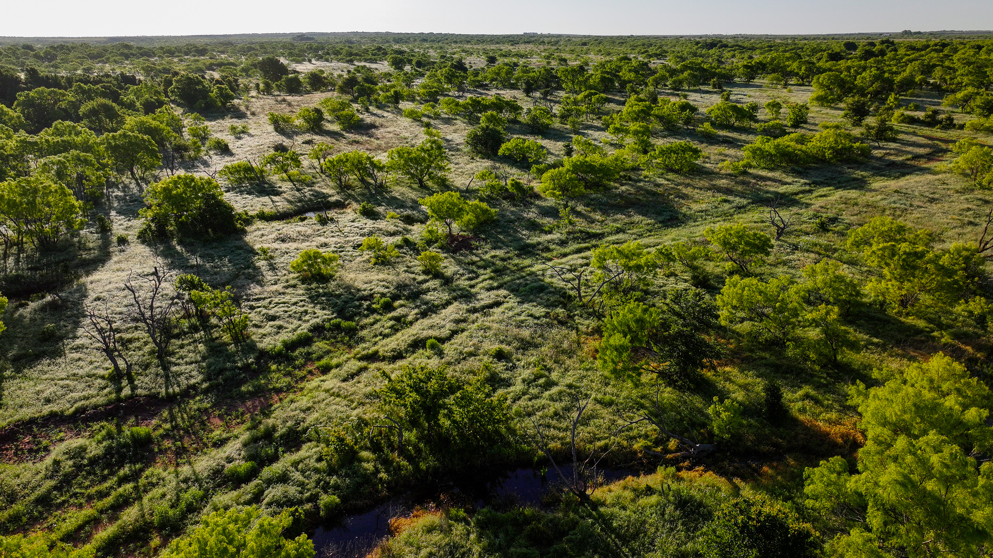Gorgeous 355 acres of Hunting and Ranch Land in Archer County TX