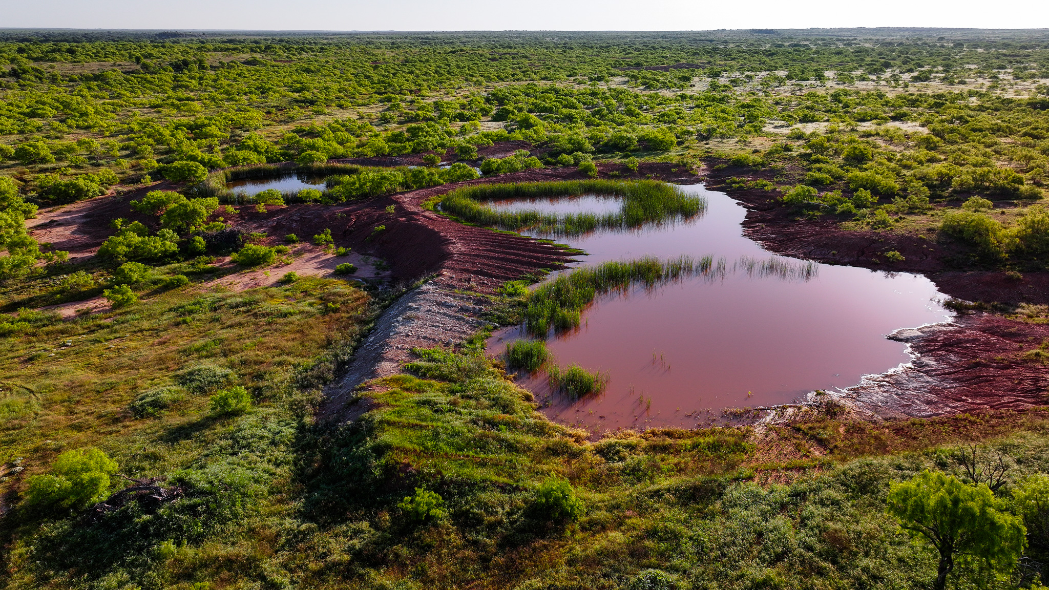 Gorgeous 355 acres of Hunting and Ranch Land in Archer County TX