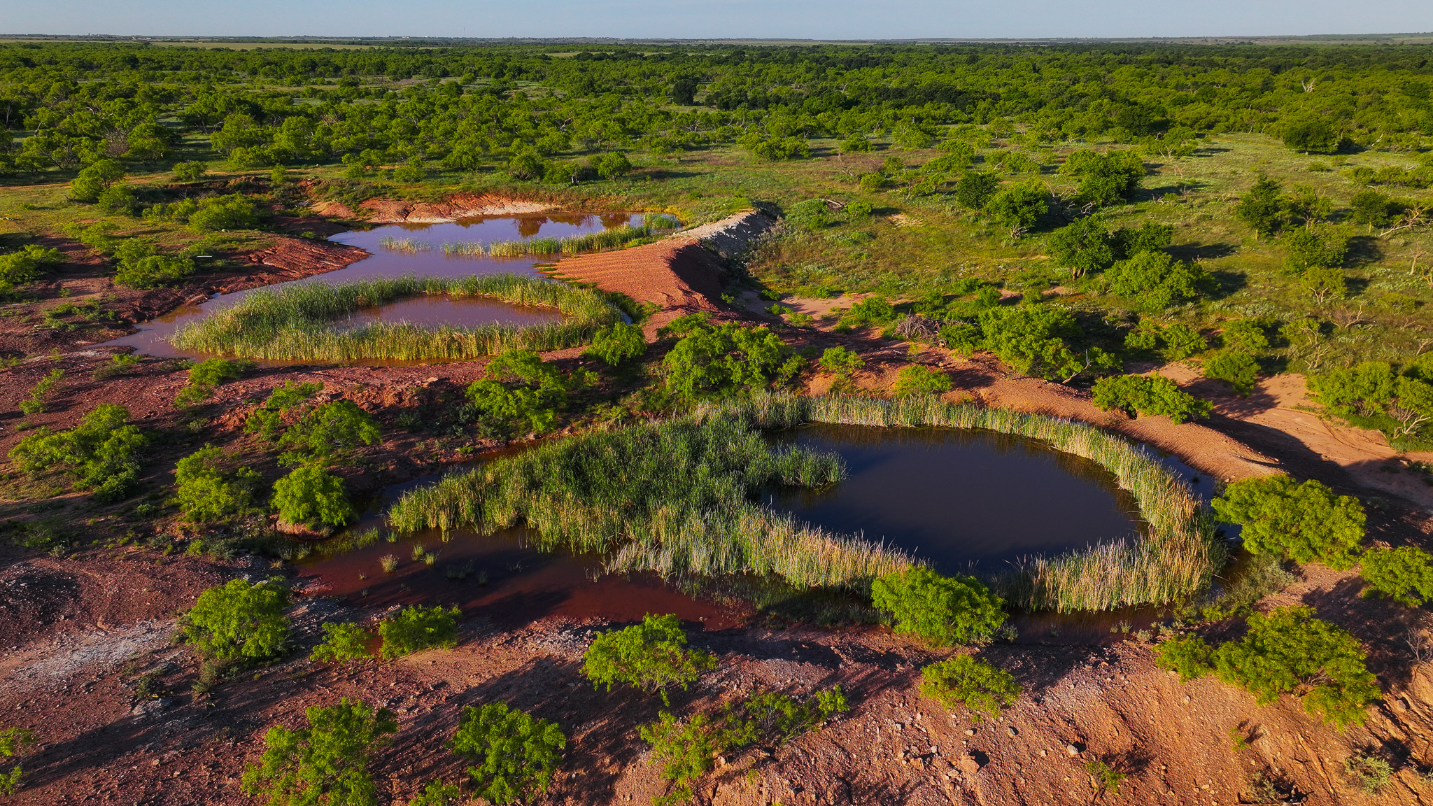 Gorgeous 355 acres of Hunting and Ranch Land in Archer County TX