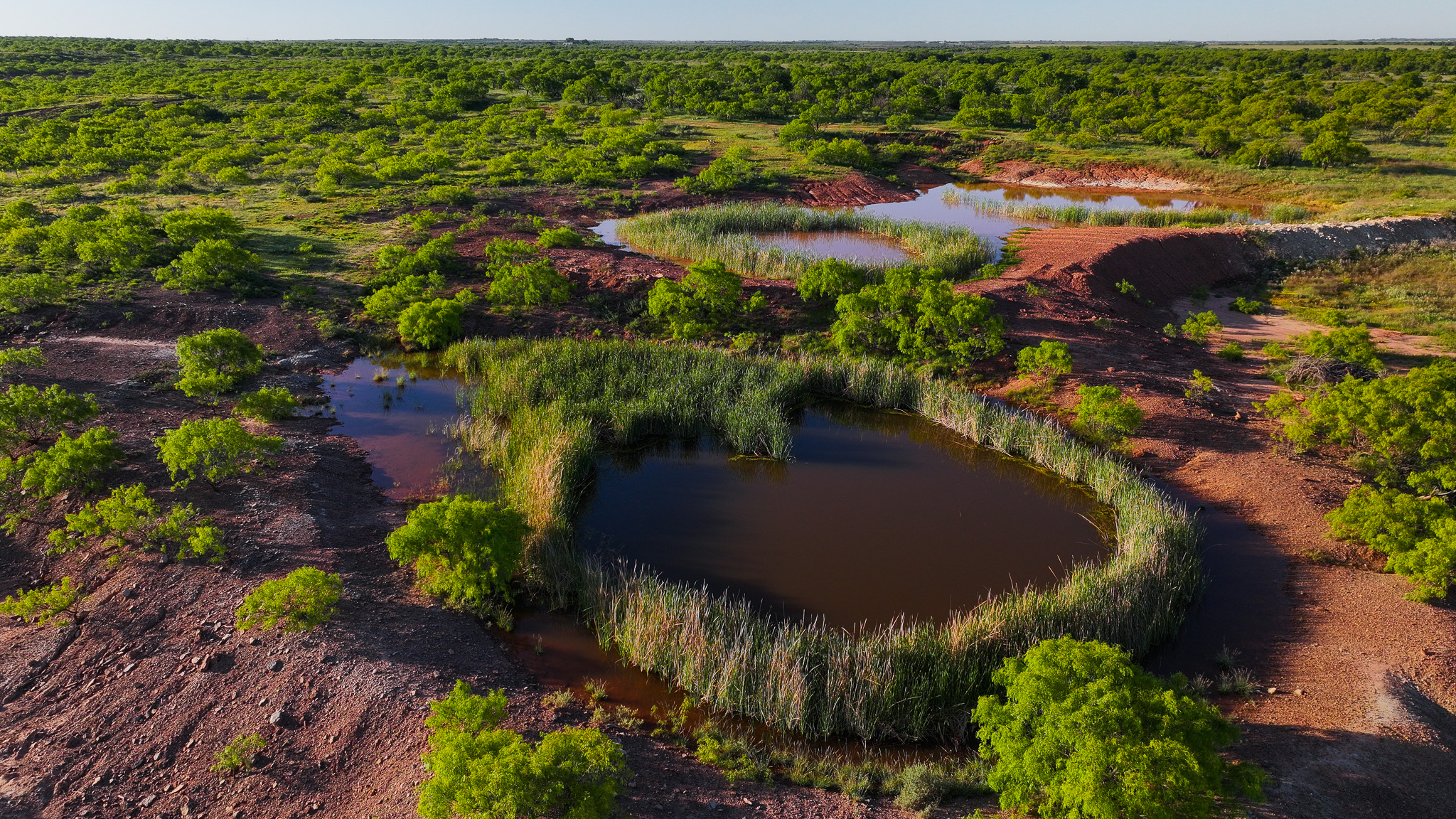 Gorgeous 355 acres of Hunting and Ranch Land in Archer County TX