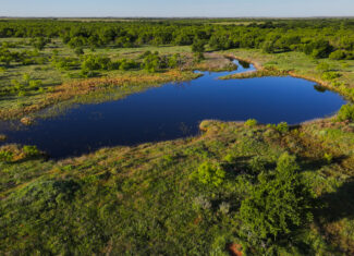Gorgeous 355 acres of Hunting and Ranch Land in Archer County TX