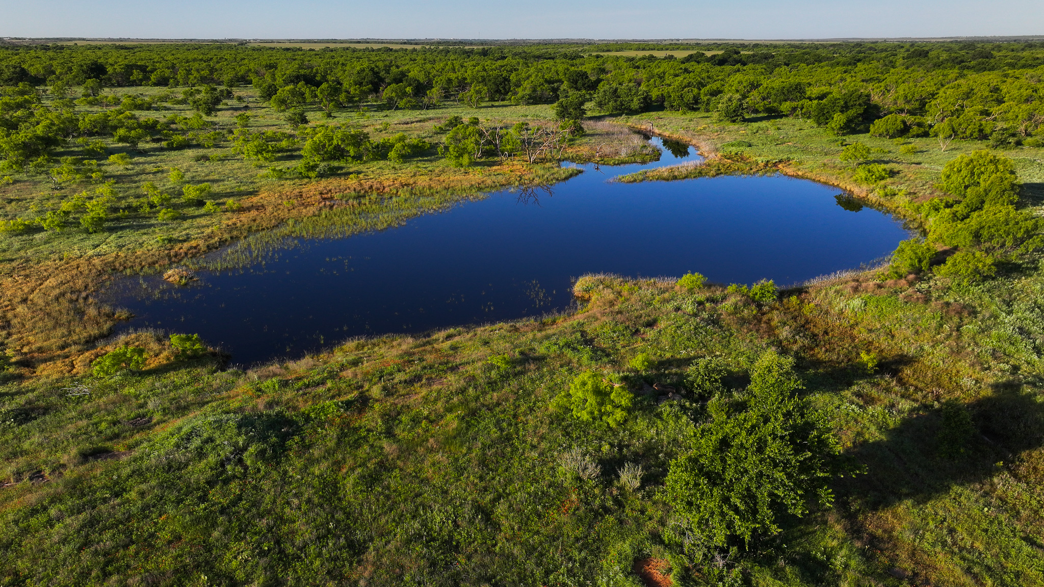 Gorgeous 355 acres of Hunting and Ranch Land in Archer County TX