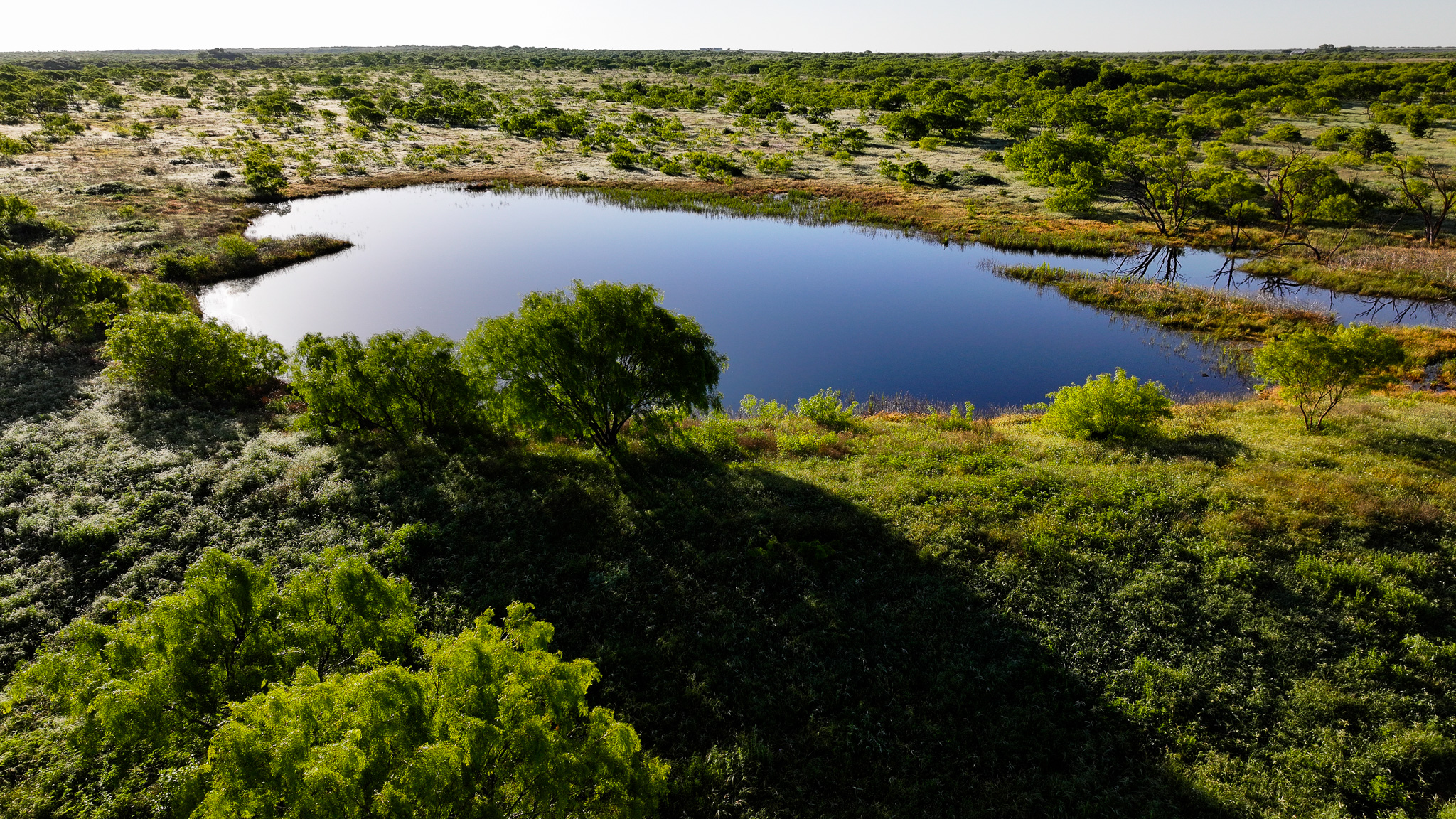 Gorgeous 355 acres of Hunting and Ranch Land in Archer County TX
