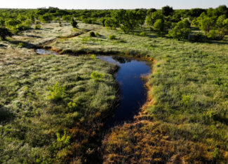 Gorgeous 355 acres of Hunting and Ranch Land in Archer County TX