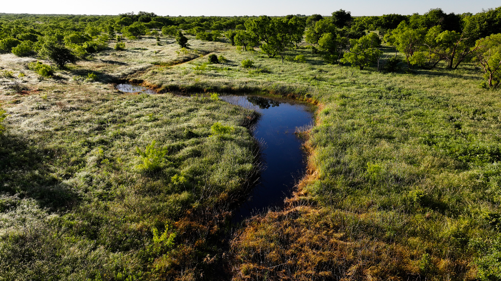 Gorgeous 355 acres of Hunting and Ranch Land in Archer County TX