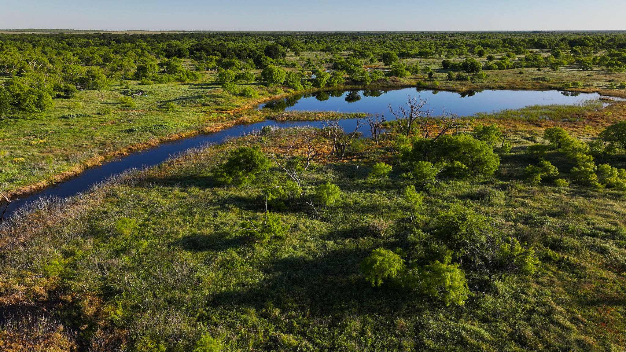 Gorgeous 355 acres of Hunting and Ranch Land in Archer County TX