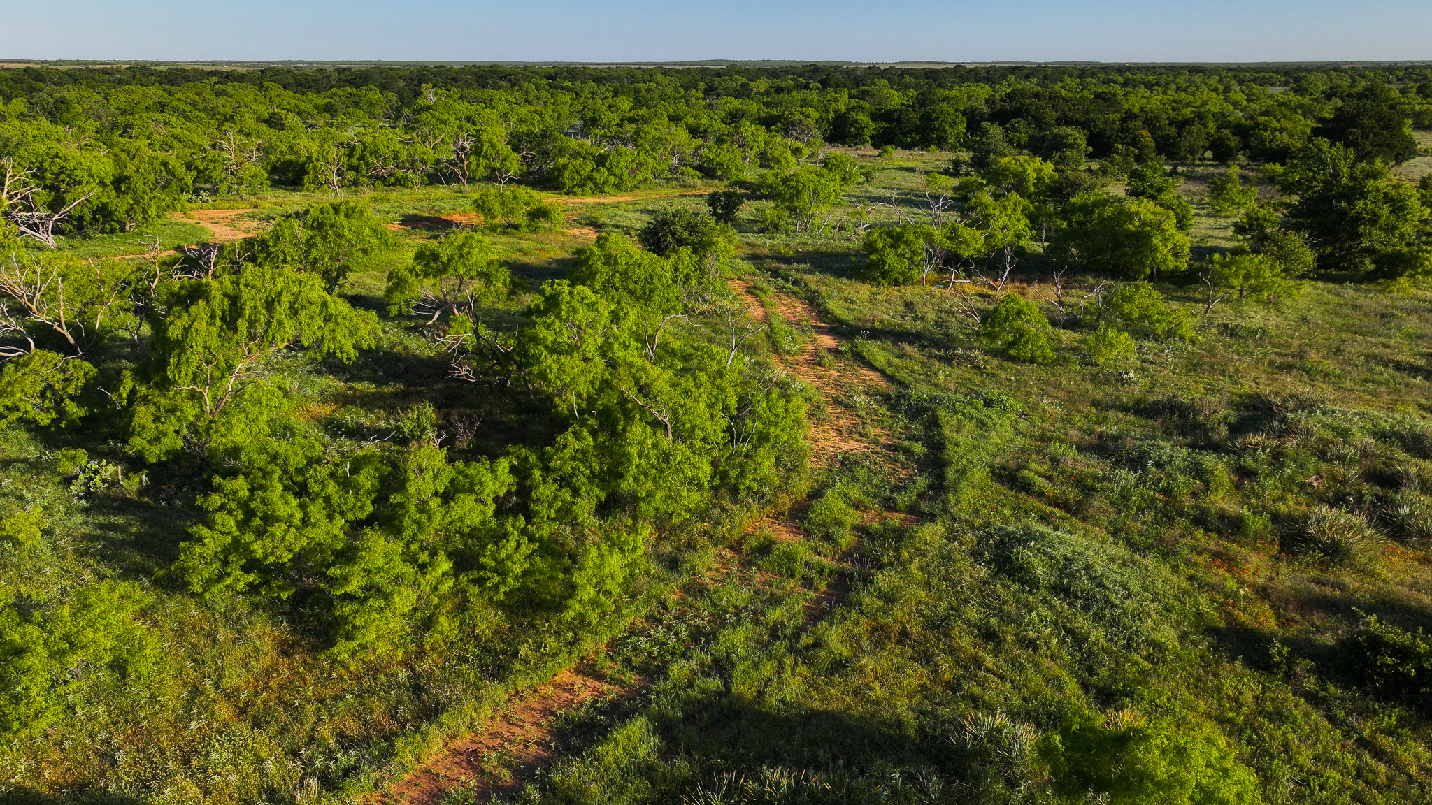 Gorgeous 355 acres of Hunting and Ranch Land in Archer County TX