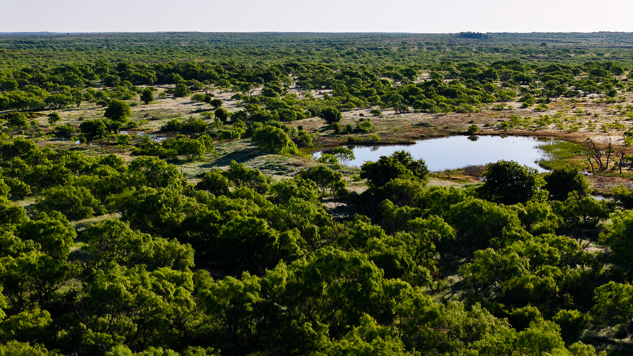 Gorgeous 355 acres of Hunting and Ranch Land in Archer County TX