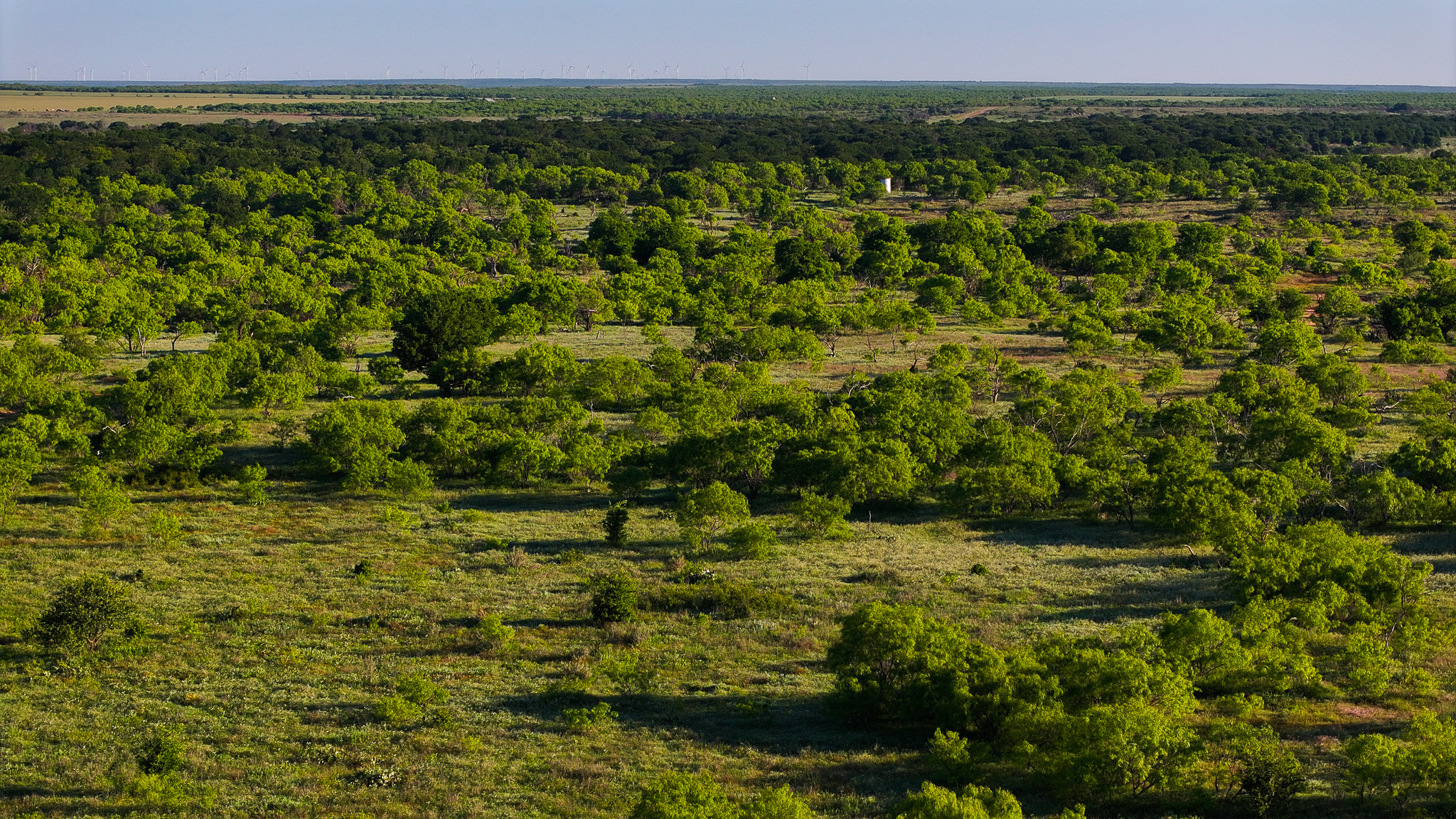 Gorgeous 355 acres of Hunting and Ranch Land in Archer County TX